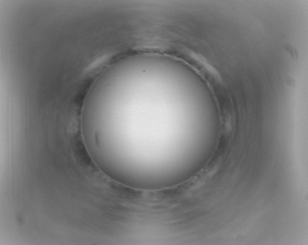 X0000115731350200911251929