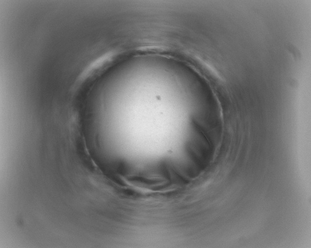 X0000115731351200911251929