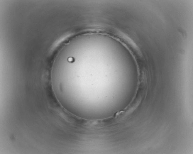 X0000115731352200911251929