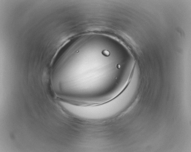 X0000115731353200911251929