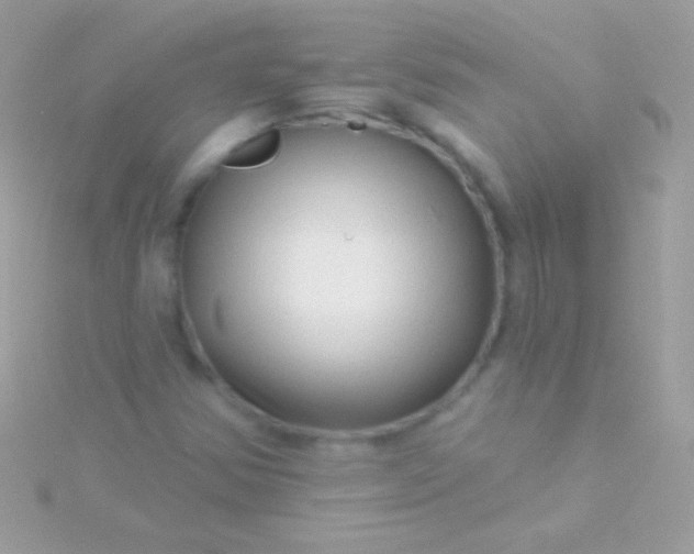 X0000115731354200911251929