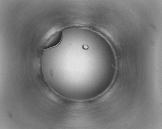 X0000115731355200911251929