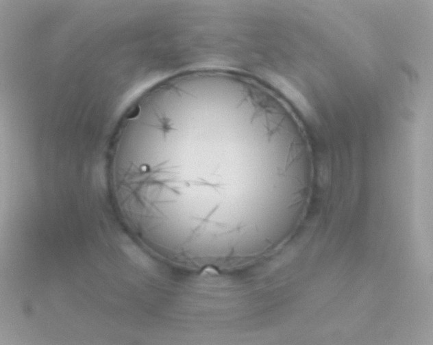 X0000115731356200911251929