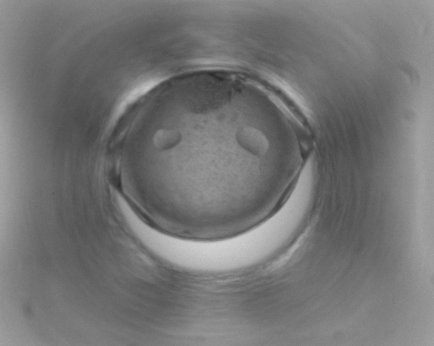 X0000115731357200911251929