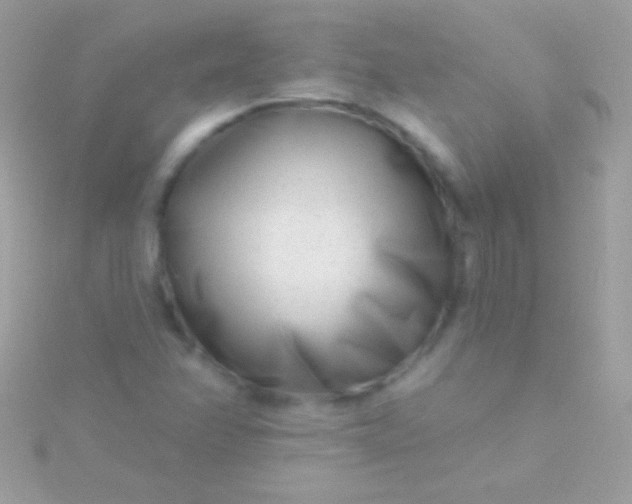 X0000115731358200911251929