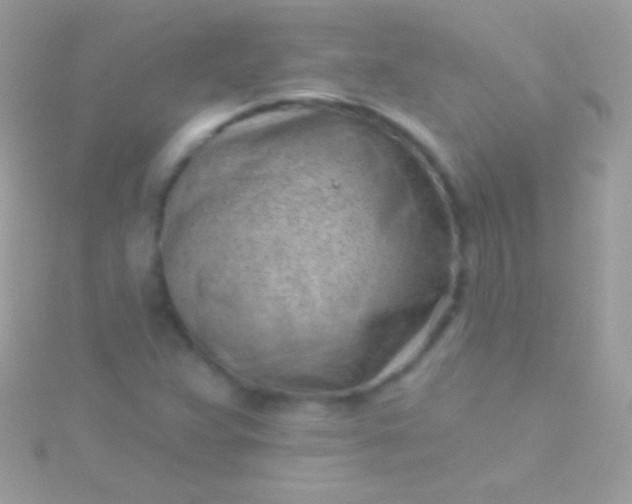 X0000115731359200911251929