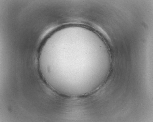 X0000115731360200911251929