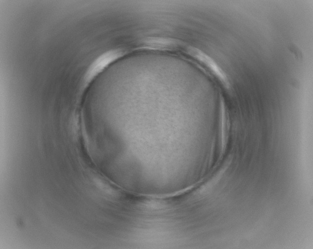 X0000115731362200911251929