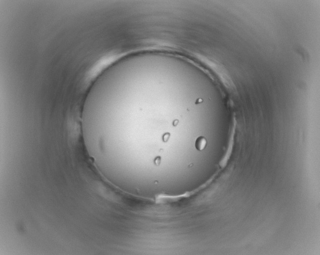 X0000115731363200911251929