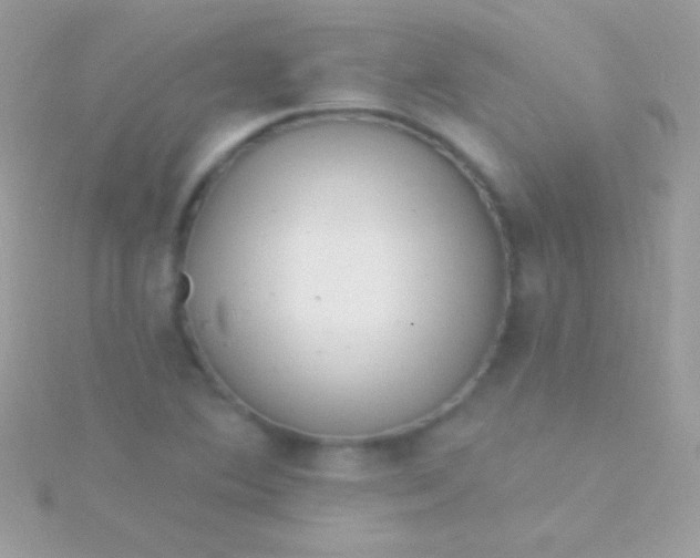 X0000115731364200911251929