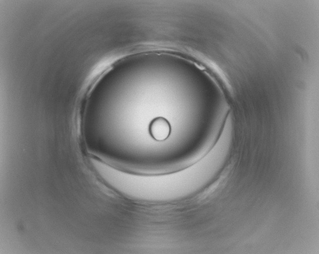 X0000115731365200911251929