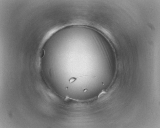 X0000115731366200911251929