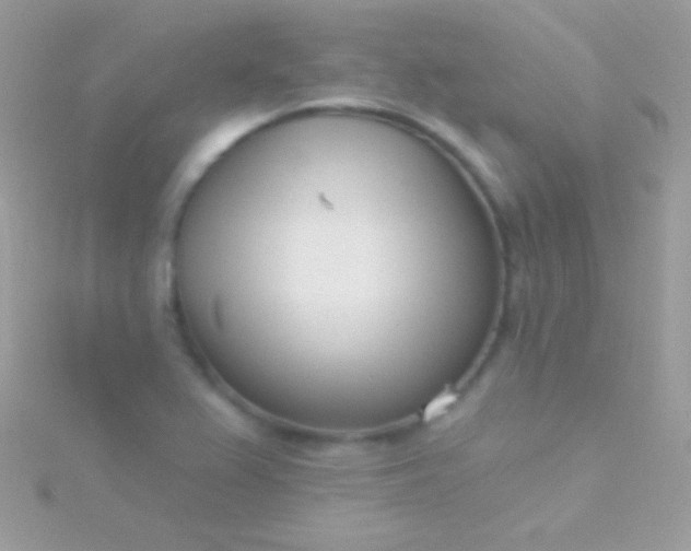 X0000115731367200911251929