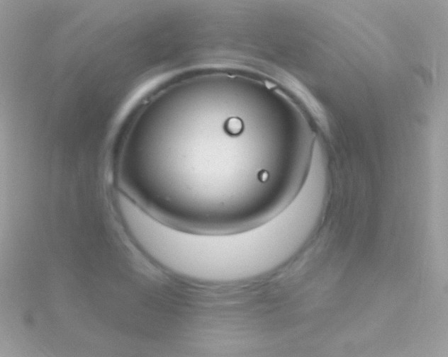 X0000115731368200911251929