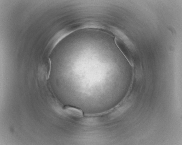 X0000115731369200911251929