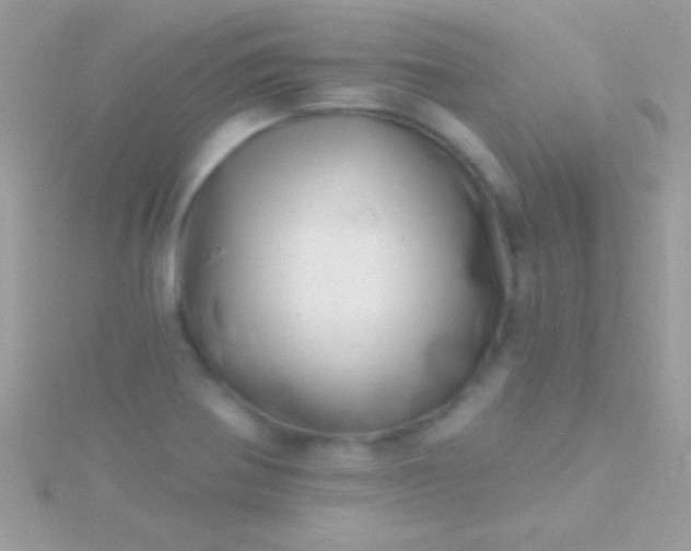 X0000115731370200911251929