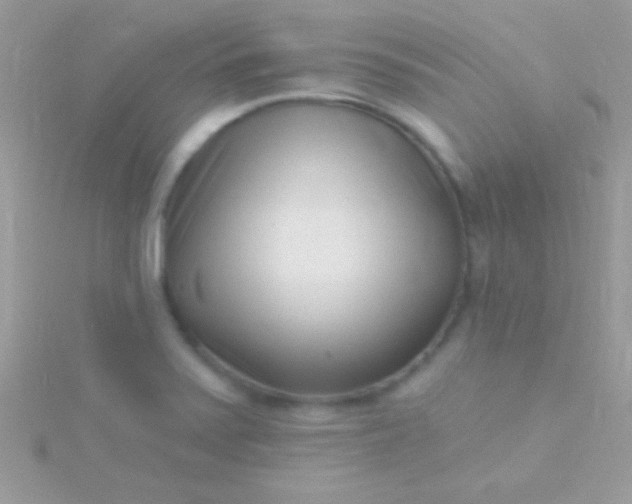 X0000115731371200911251929