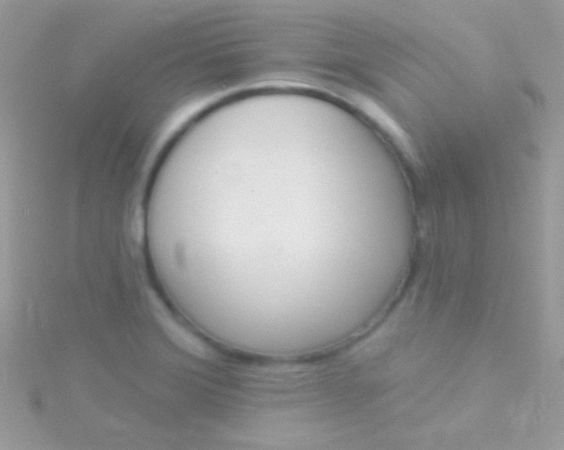 X0000115731372200911251929