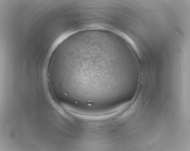 X0000115731373200911251929