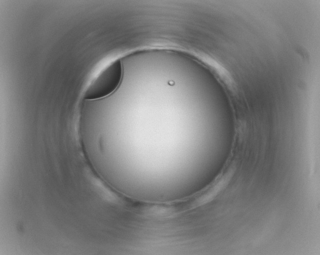 X0000115731374200911251929