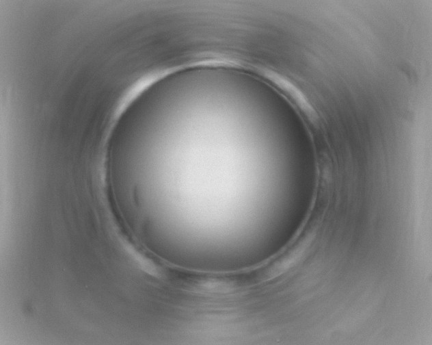 X0000115731375200911251929