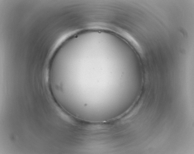 X0000115731376200911251929