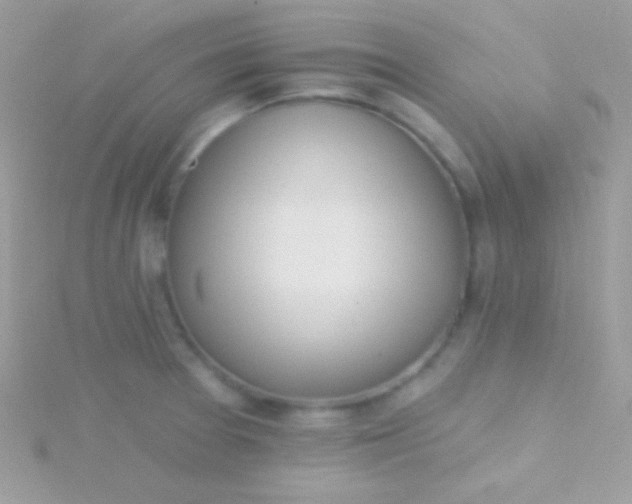 X0000115731377200911251929