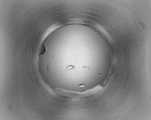 X0000115731378200911251929