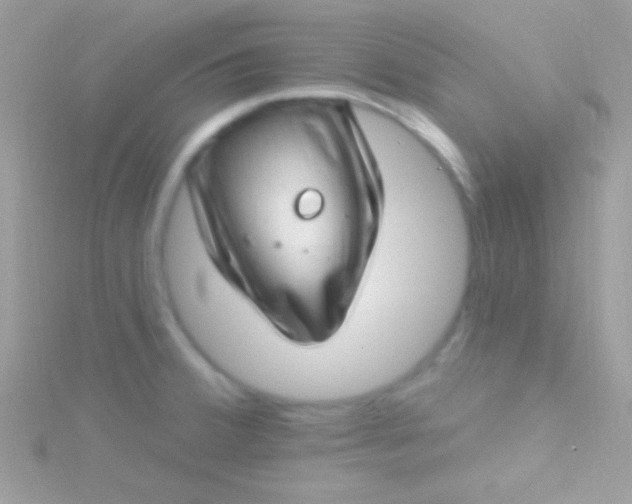 X0000115731380200911251929