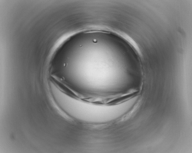 X0000115731381200911251929