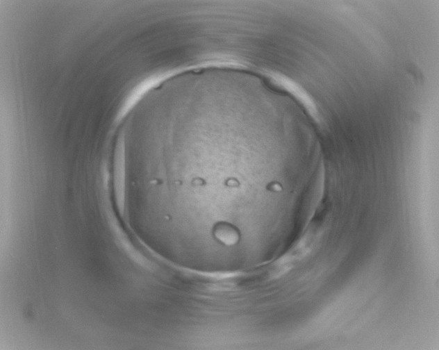 X0000115731383200911251929