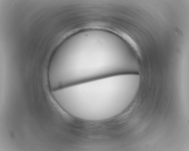 X0000115731384200911251929