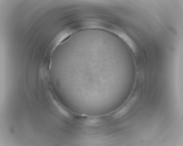 X0000115731385200911251929