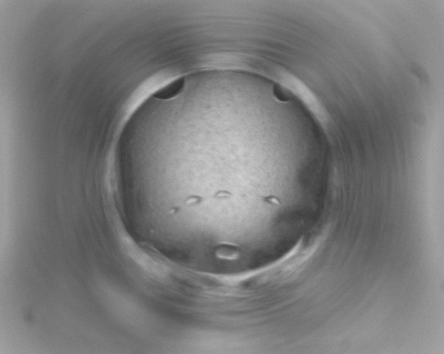 X0000115731386200911251929