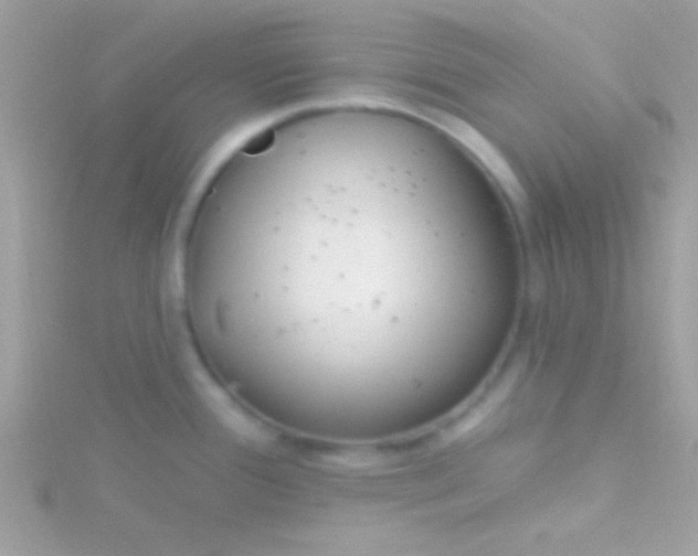 X0000115731388200911251929