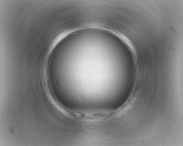 X0000115731389200911251929