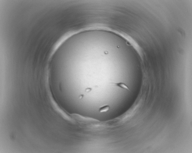 X0000115731390200911251929