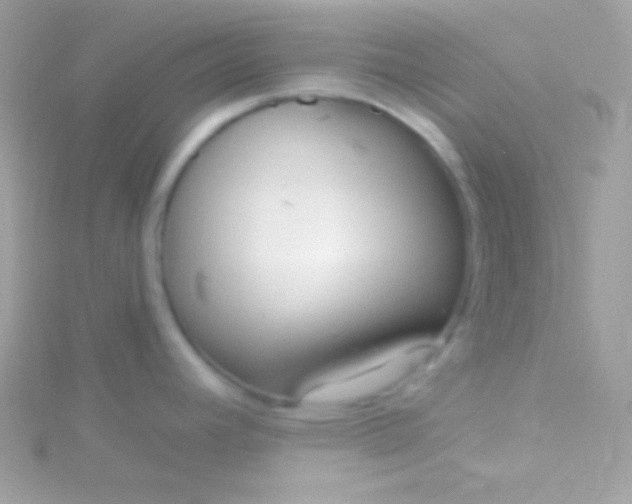 X0000115731392200911251929