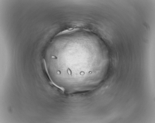 X0000115731393200911251928