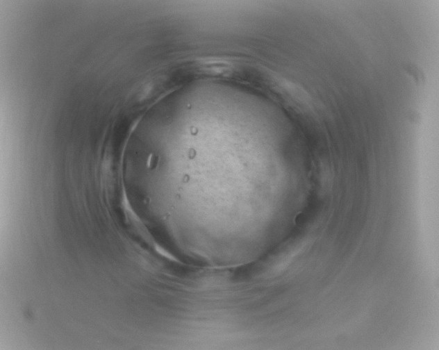 X0000115731394200911251928