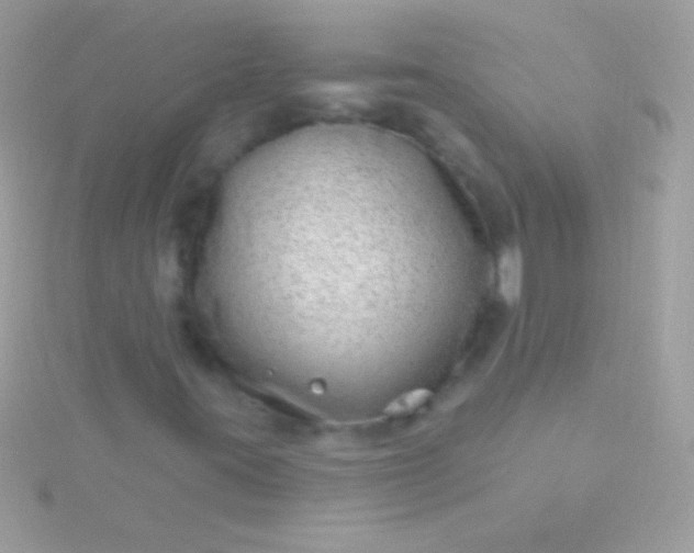 X0000115731395200911251928