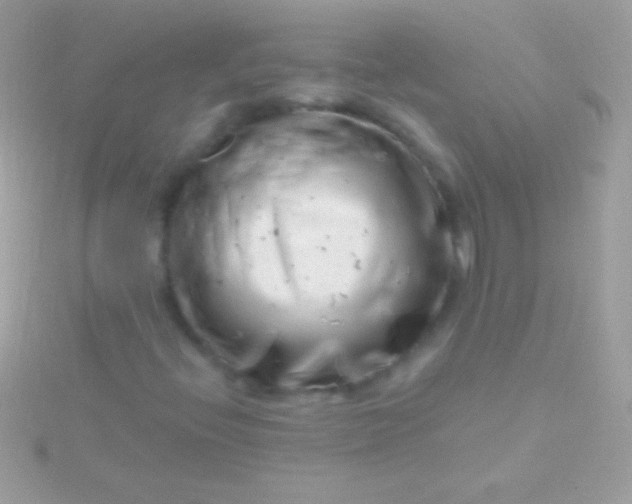 X0000115731396200911251928