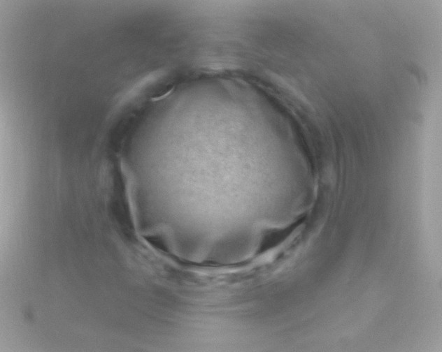 X0000115731398200911251928