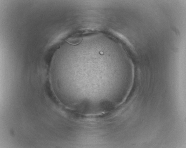 X0000115731399200911251928