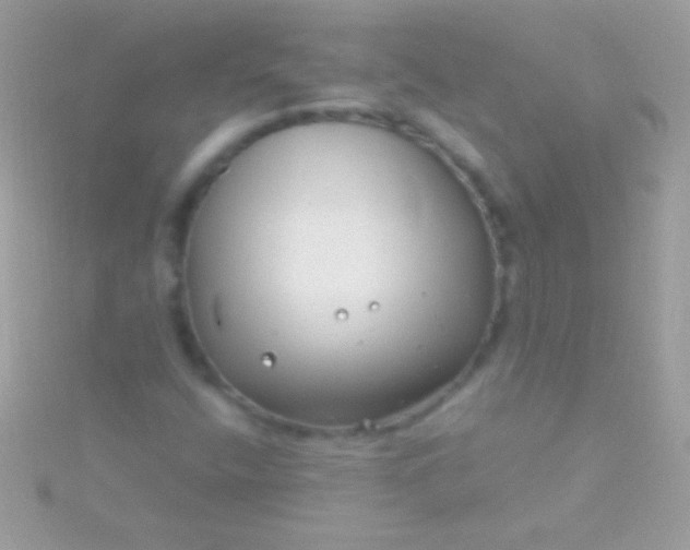 X0000115731400200911251928