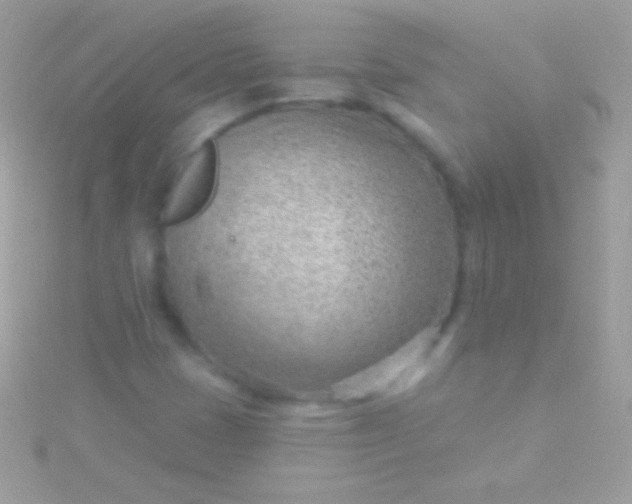 X0000115731401200911251928