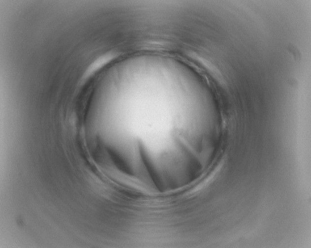 X0000115731402200911251928