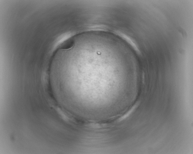 X0000115731405200911251928