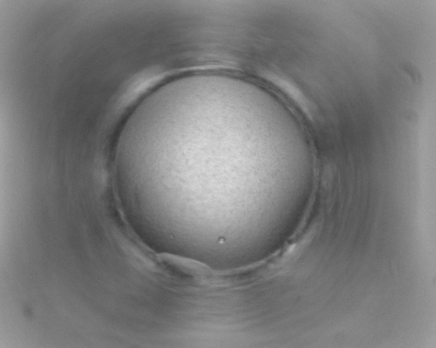 X0000115731407200911251928