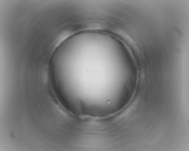 X0000115731409200911251928